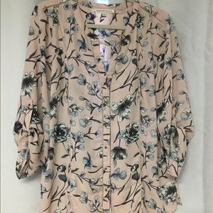 Daniel Rainn- Pink and Blue Floral Blouse